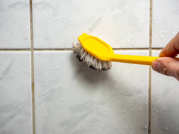 Best Mold Remediation  in Alamogordo, NM