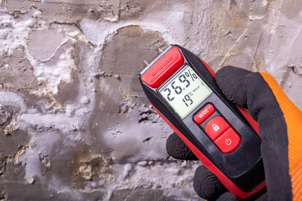 Best Mold Remediation  in Alamogordo, NM